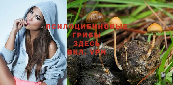 бутират Арсеньев