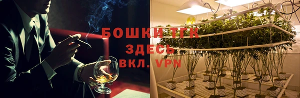 PSILOCYBIN Армянск